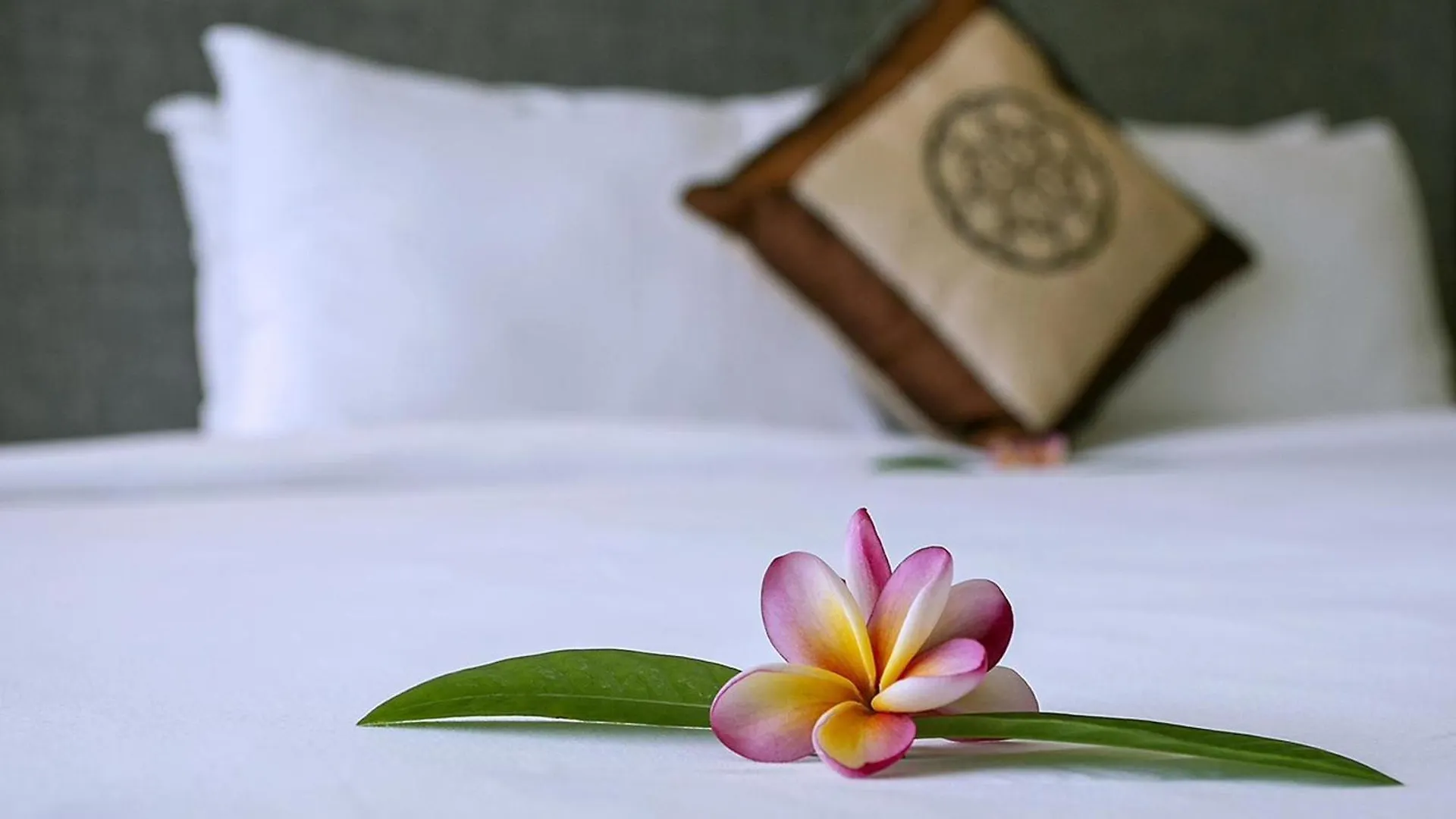 Отель Hoi An Town Home Resort